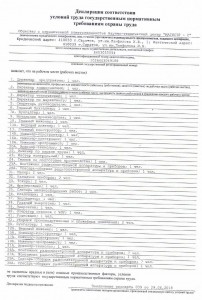 Декларация СОУТ