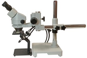 micro_umd_001_3000_2000 (1)